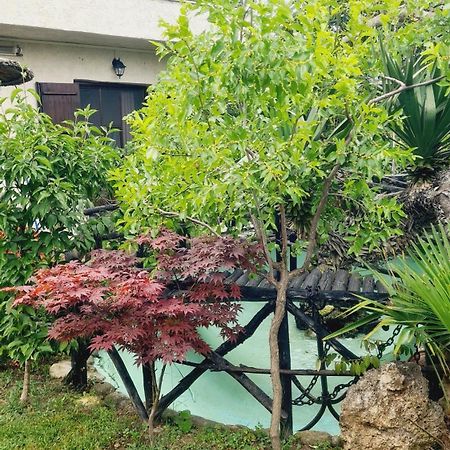 Casa Del Mare Villa Paralia Katerinis Bagian luar foto